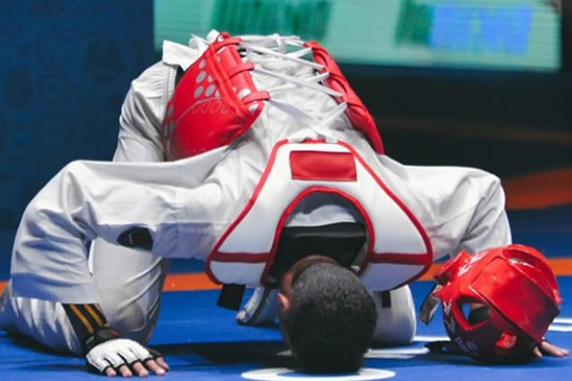 審判のミスや暴言